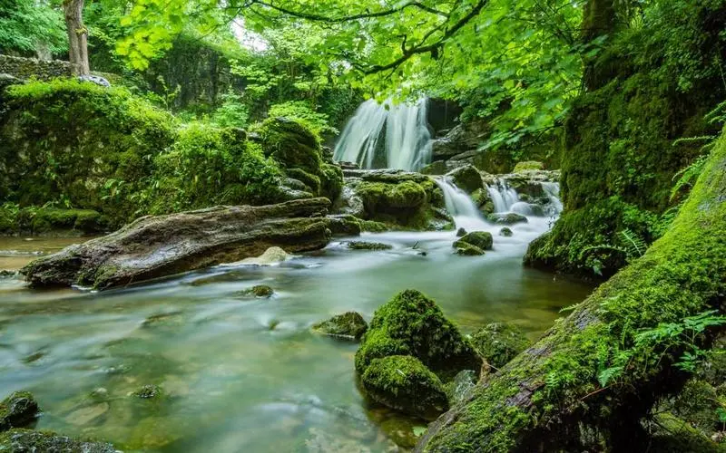 创意高性能